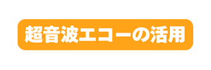 超音波エコーの活用